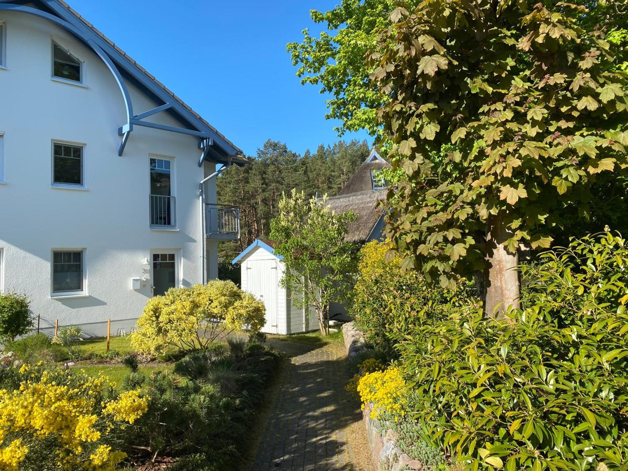 Duenenresidenz Karlshagen - Ferienwohnung Ginsterweg Exteriér fotografie