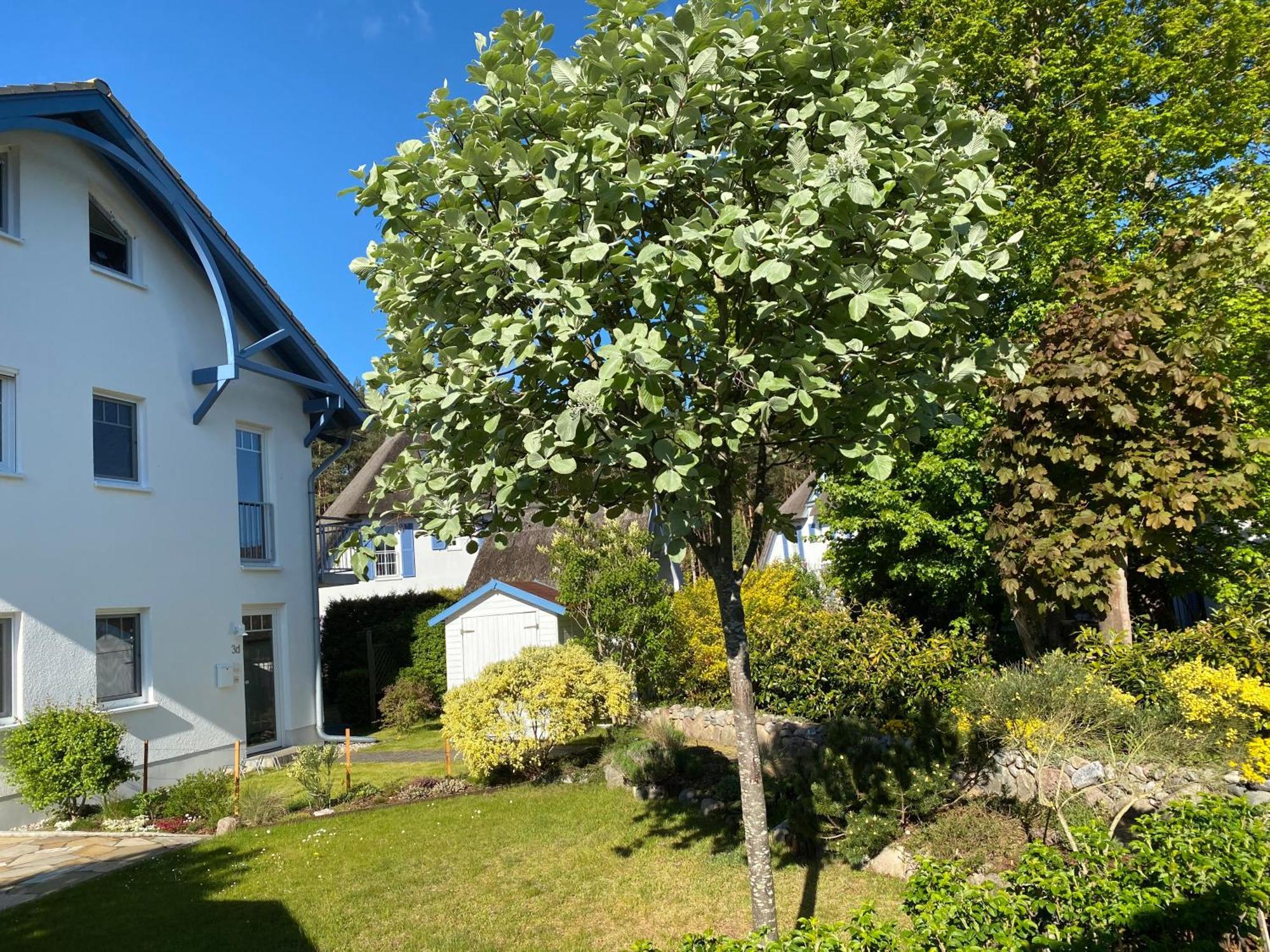 Duenenresidenz Karlshagen - Ferienwohnung Ginsterweg Exteriér fotografie